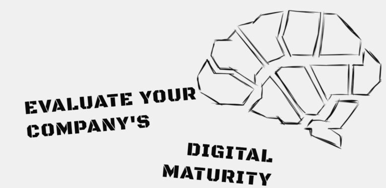 Screenshot of the Digital maturity testing website.