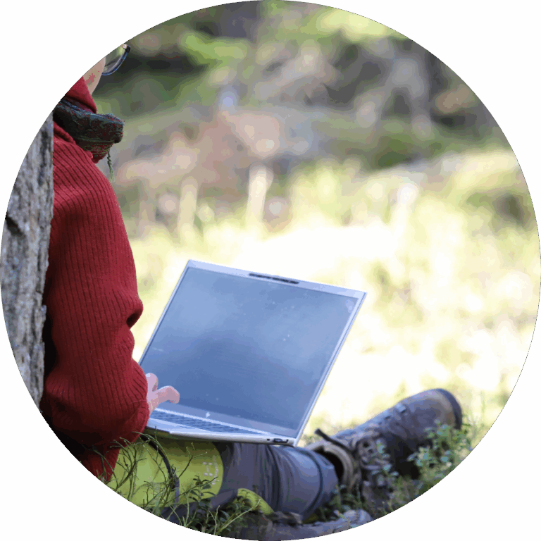 A person is sitting on the gras under the tree and having a laptop with her on her knees.