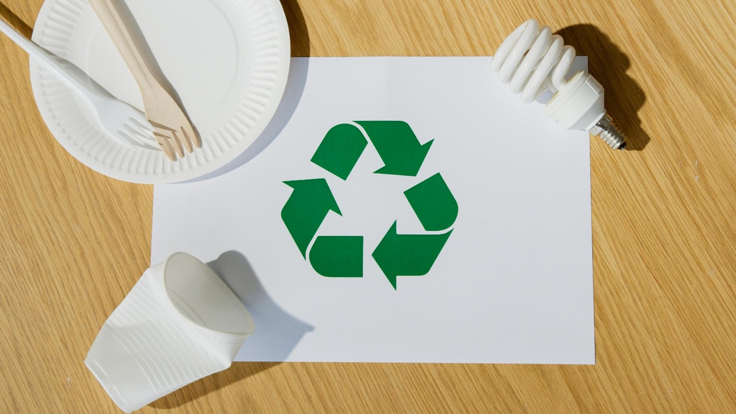 Circular Business Model Canvas: Rethinking Business for a Regenerative Economy